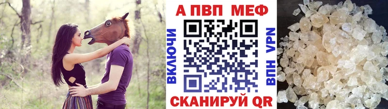 закладка  Суджа  А ПВП СК 