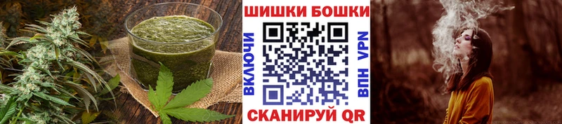 Canna-Cookies марихуана  Суджа 