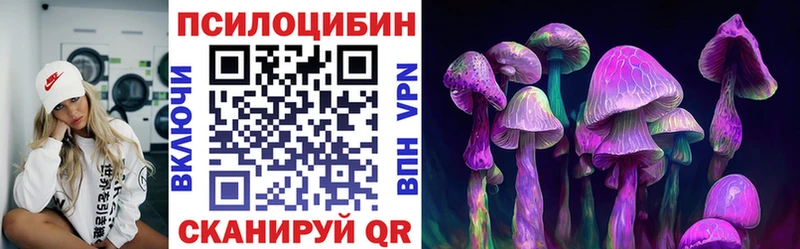 где купить   Суджа  Галлюциногенные грибы мухоморы 